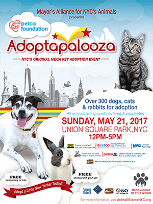 Adoptapalooza – NYC’s Mega Pet Adoption Event