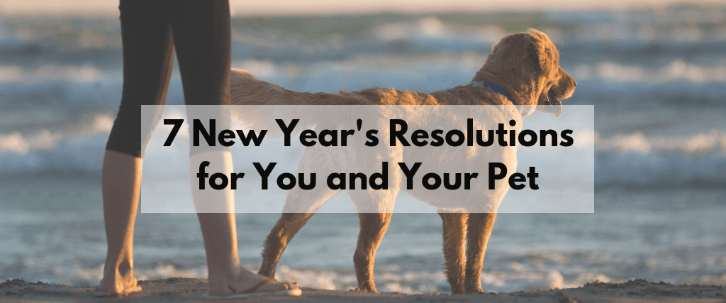 7 New Year’s Resolutions for You and Your Pet